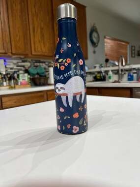 Studio Oh! Follow Your Dreams Sloth 17oz Stainless Steel Insulated Water Bottle